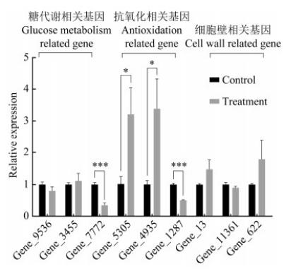 桑椹菌核病拮抗菌的分離篩選、鑒定、生防作用與機理——討論與結論