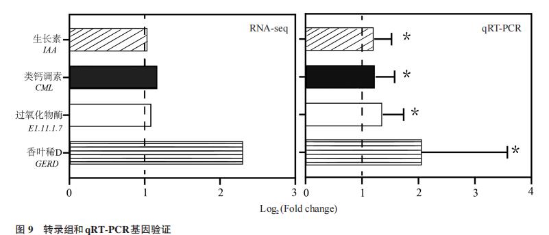 平板實驗測定貝萊斯芽胞桿菌WB菌株對西瓜植株的促生效應——討論、結論