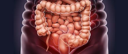 ?人類(lèi)胃腸道/人類(lèi)泌尿生殖道樣本采集