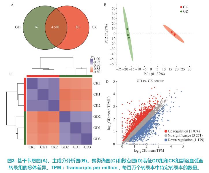 甘膽口服液對(duì)副溶血弧菌細(xì)胞結(jié)構(gòu)及體外抑菌活性影響——結(jié)果與分析
