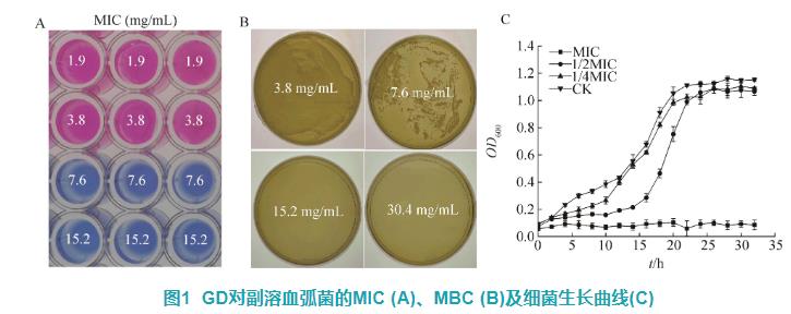 甘膽口服液對(duì)副溶血弧菌細(xì)胞結(jié)構(gòu)及體外抑菌活性影響——摘要