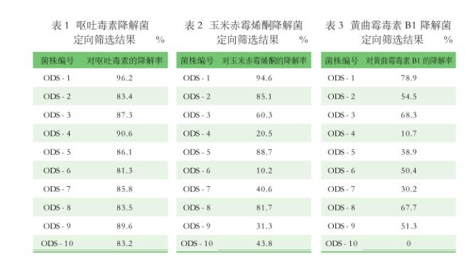 芽孢桿菌對(duì)黃曲霉毒素B1、嘔吐毒素、玉米赤霉烯酮的降解作用——結(jié)果、結(jié)論