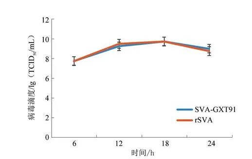 A型塞內(nèi)卡病毒全長感染性克隆、致病機理及生長曲線分析（三）