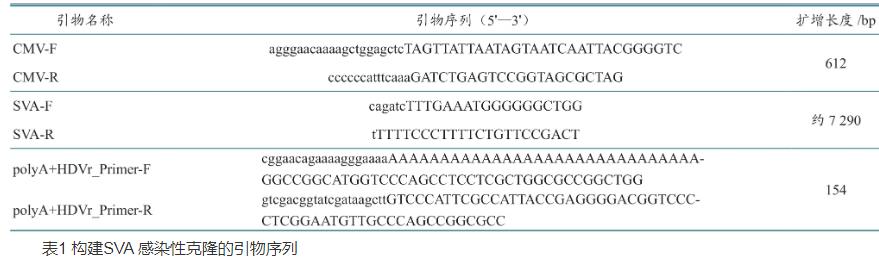 ?A型塞內(nèi)卡病毒全長感染性克隆、致病機理及生長曲線分析（一）