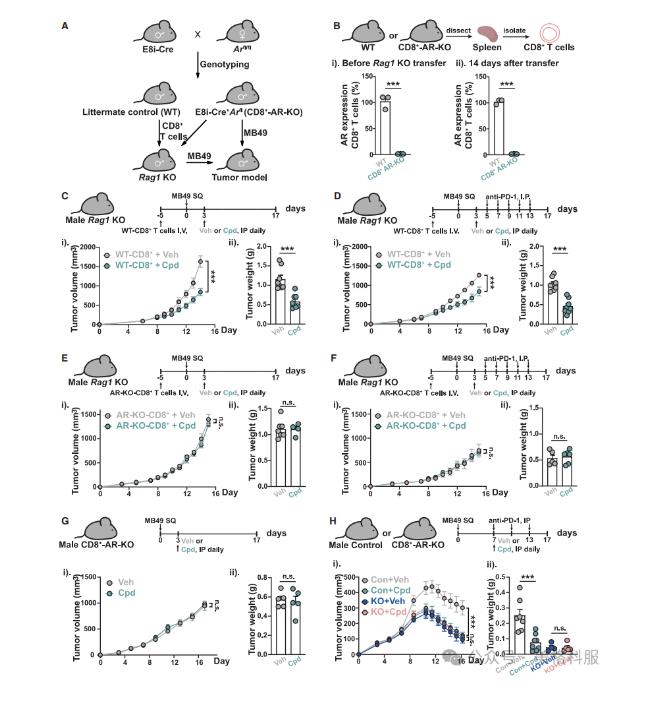 腸道微生物群竟成抗癌“隱形戰(zhàn)士”！催化生成新型膽汁酸激活抗腫瘤免疫（三）