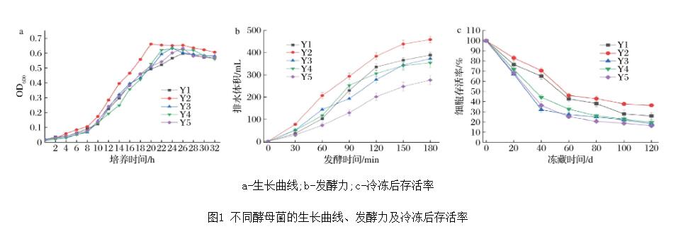 不同酵母的生長曲線、發(fā)酵力、耐凍性能測(cè)定及發(fā)酵面團(tuán)感官評(píng)定（二）