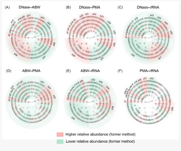 大尺度環(huán)境樣本土壤活體微生物研究方法評估與驗證（二）