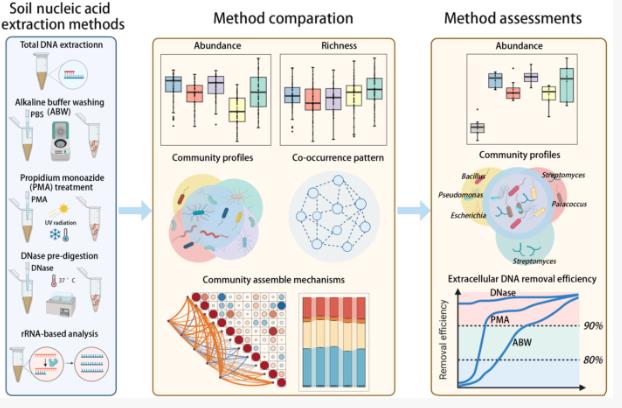 大尺度環(huán)境樣本土壤活體微生物研究方法評估與驗證（一）