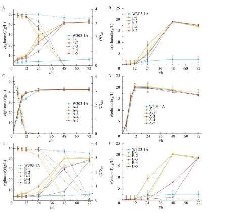 定向梯度馴化釀酒酵母W303-1A在糠醛和對羥基苯甲酸抑制脅迫下生長情況（三）