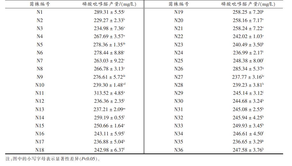 高產磷酸吡哆醛功能性乳酸菌篩選、最適生長溫度及生長曲線圖繪制（二）