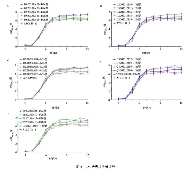 畜禽屠宰場環(huán)境和畜禽肉中單增李斯特菌污染情況、生長曲線及消毒劑最小抑菌濃度分析（三）