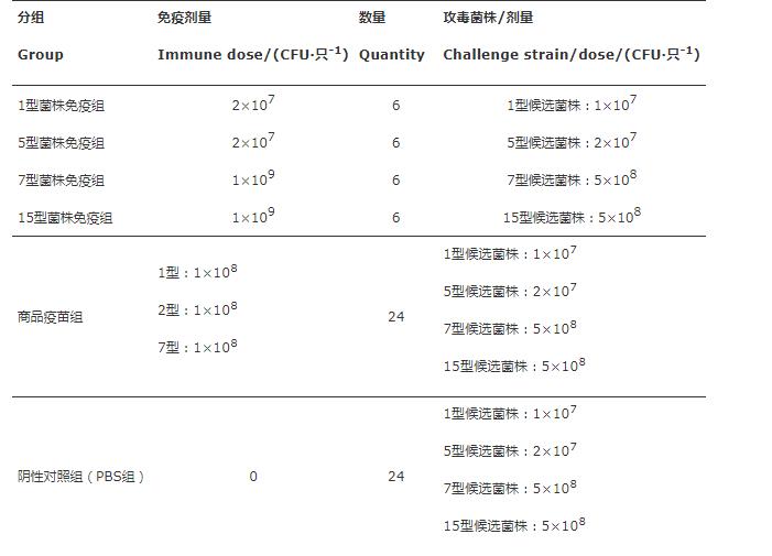 疫苗候選菌株：豬胸膜肺炎放線桿菌生長曲線、溶血活性、 耐藥性測定（二）