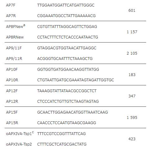 疫苗候選菌株：豬胸膜肺炎放線桿菌生長曲線、溶血活性、 耐藥性測定（一）