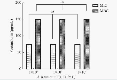 不同濃度芍藥苷對(duì)鮑曼不動(dòng)桿菌生長(zhǎng)曲線(xiàn)、生物被膜形成的影響（一）