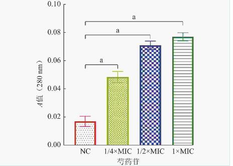 不同濃度芍藥苷對(duì)鮑曼不動(dòng)桿菌生長(zhǎng)曲線(xiàn)、生物被膜形成的影響（三）