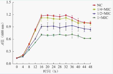 不同濃度芍藥苷對(duì)鮑曼不動(dòng)桿菌生長(zhǎng)曲線(xiàn)、生物被膜形成的影響（二）