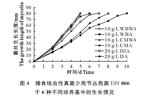 捕食線(xiàn)蟲(chóng)性真菌少孢節(jié)叢孢菌不同分離株在4種培養(yǎng)基的生長(zhǎng)速度研究（三）