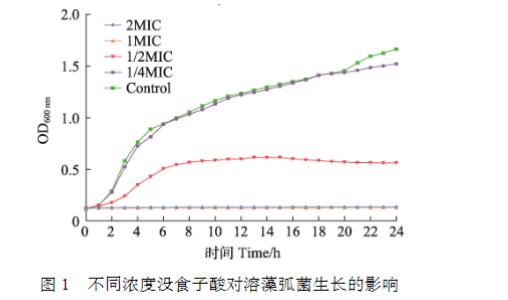 不同濃度沒食子酸對溶藻弧菌生長、電導(dǎo)率生、物被膜形成、泳動聚集能力的影響（一）