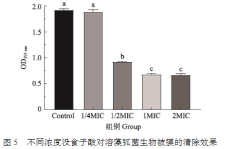 不同濃度沒食子酸對溶藻弧菌生長、電導(dǎo)率生、物被膜形成、泳動聚集能力的影響（三）