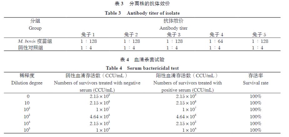 牛支原體分離株YJ-22的分離鑒定、生長特性、致病性及免疫原性研究（四）