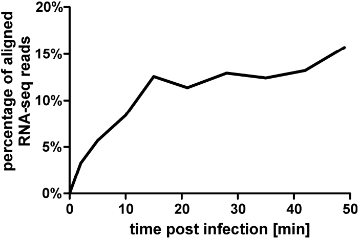 生長曲線分析儀研究噬菌體φR1-37對宿主細(xì)菌小腸結(jié)腸炎耶爾森菌的感染動力學(xué)
