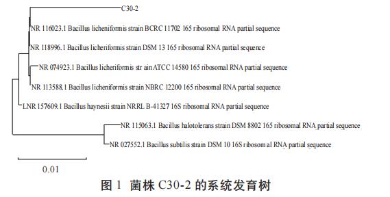 地衣芽孢桿菌的生長曲線測定、生理生化特性、益生性能研究（一）