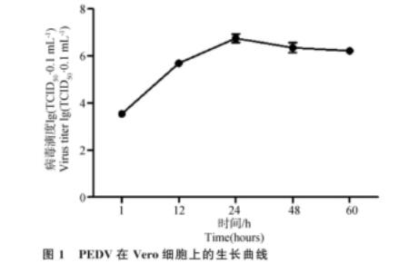 豬流行性腹瀉病毒生長(zhǎng)曲線的測(cè)定及鹽霉素對(duì)其抑制效果（一）