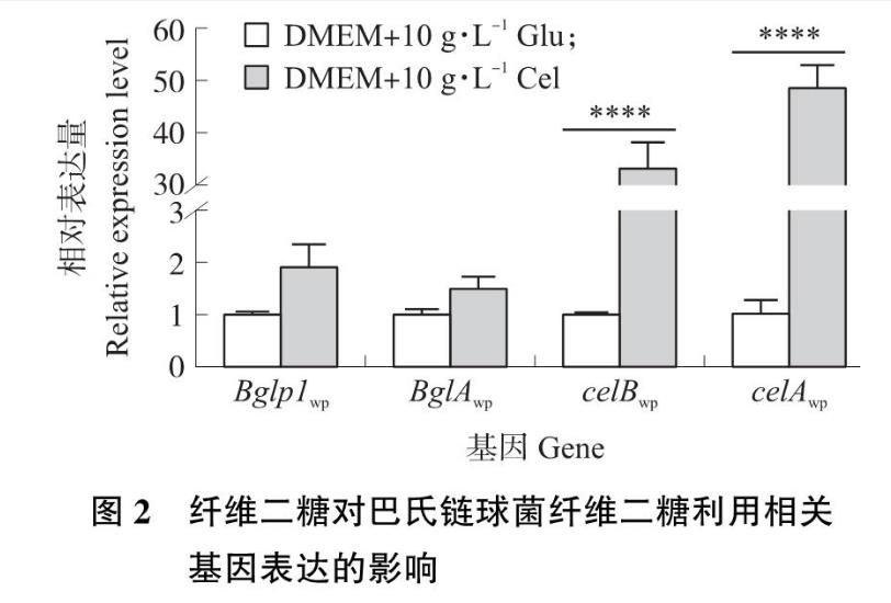 纖維二糖利用基因簇對(duì)豬源巴氏鏈球菌生長曲線及毒力的影響—— 結(jié)果與分析、討論