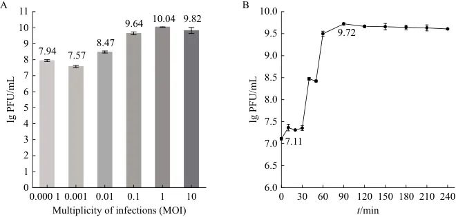 小腸結(jié)腸炎耶爾森氏菌烈性噬菌體分離鑒定、生長(zhǎng)曲線及應(yīng)用潛力——結(jié)果與分析02