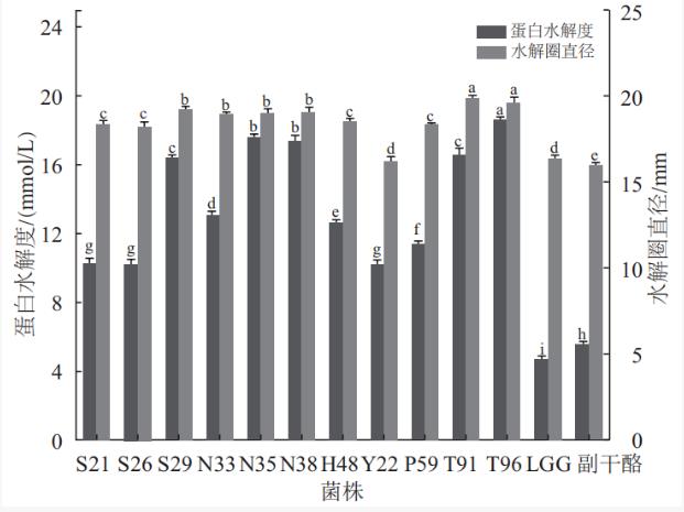 高產(chǎn)蛋白酶乳酸桿菌高效篩選方法、生長(zhǎng)曲線測(cè)定及耐受能力分析（二）