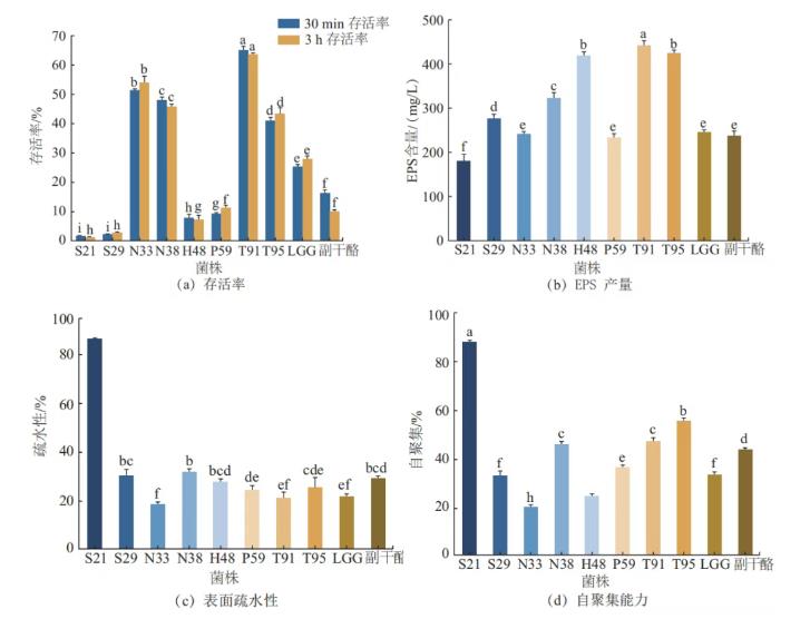 高產(chǎn)蛋白酶乳酸桿菌高效篩選方法、生長(zhǎng)曲線測(cè)定及耐受能力分析（三）
