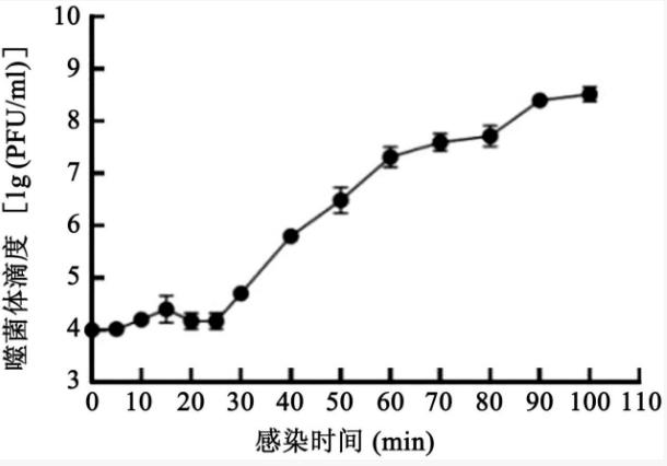 特異裂解腸炎沙門菌噬菌體生物學(xué)特性及裂解細(xì)菌功效（一）