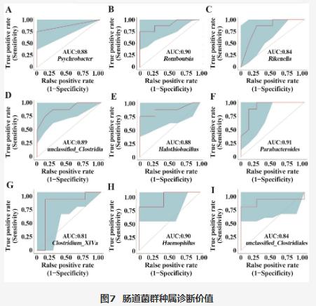 敲除ST2表達(dá)對(duì)ConA誘導(dǎo)的自身免疫性肝炎（AIH）小鼠腸道菌群的影響（三）