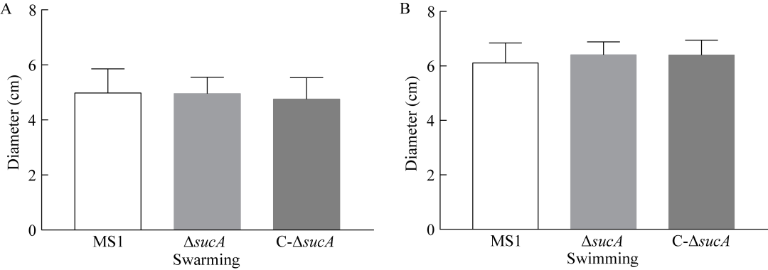 香蕉細(xì)菌性軟腐病菌sucA基因突變對(duì)細(xì)菌生長(zhǎng)、毒力的影響——結(jié)果與分析