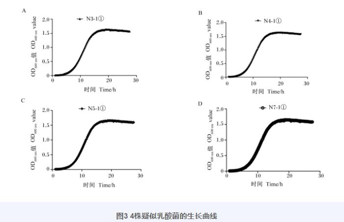 羊瘤胃分離乳酸菌生長(zhǎng)曲線、產(chǎn)酸曲線測(cè)定及對(duì)金黃色葡萄球菌抑制作用（三）