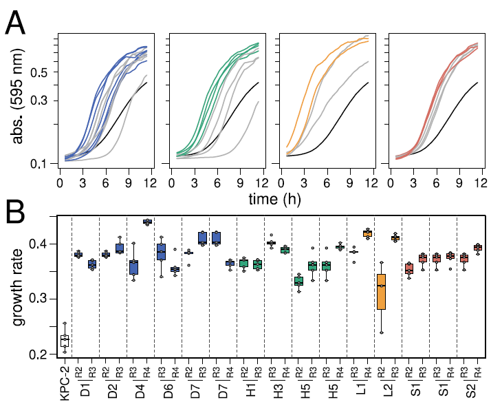 全自動(dòng)微生物生長曲線分析儀監(jiān)測碳青霉烯酶突變體在不同條件下的生長速率