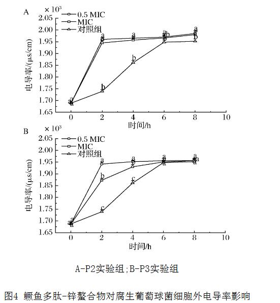 鱖魚多肽-鋅螯合物對腐生葡萄球菌抑菌圈、過氧化氫酶活力、生長曲線的影響（三）