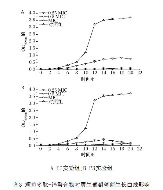 鱖魚多肽-鋅螯合物對腐生葡萄球菌抑菌圈、過氧化氫酶活力、生長曲線的影響（二）