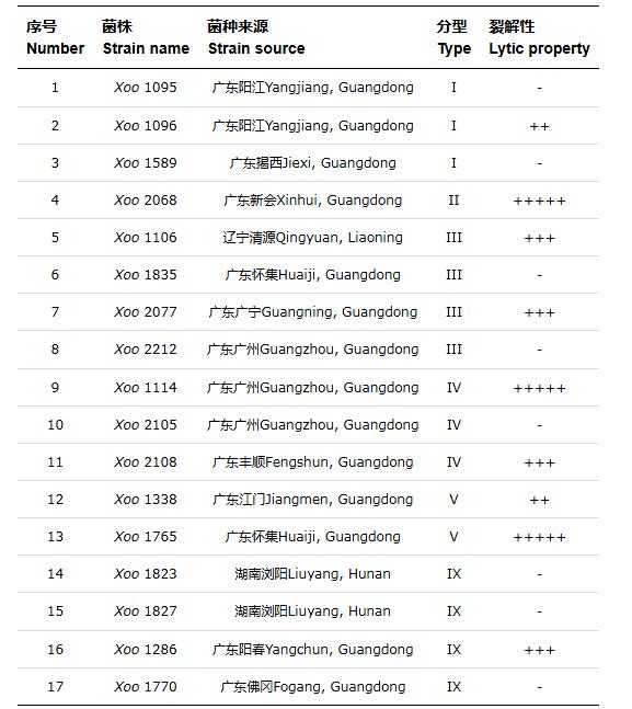 水稻黃單胞菌噬菌體最佳MOI (A)、一步生長(zhǎng)曲線、耐受性測(cè)定及基因組分析（一）