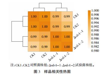 乳酸乳球菌F44生長(zhǎng)曲線、pH曲線、酸耐受、Nisin耐受和Nisin效價(jià)（三）