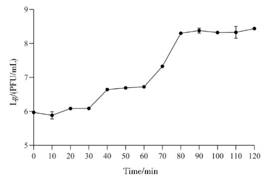 枯草芽孢桿菌噬菌體PJNB028一步生長(zhǎng)曲線、熱、PH、紫外線照射穩(wěn)定性研究（三）