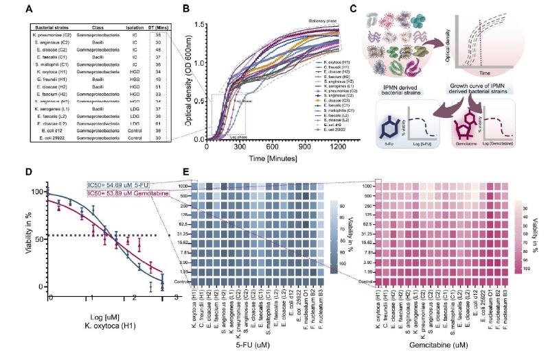 全自動生長曲線分析儀應(yīng)用-胰腺腫瘤細(xì)菌的生存機(jī)制及其代謝化療藥物的能力（一）