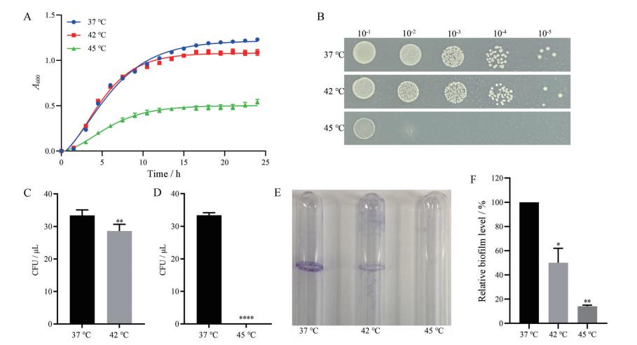 不同溫度、pH值及H?O?作用下減毒沙門氏菌生長(zhǎng)曲線及細(xì)菌生物膜的形成——摘要、材料與方法