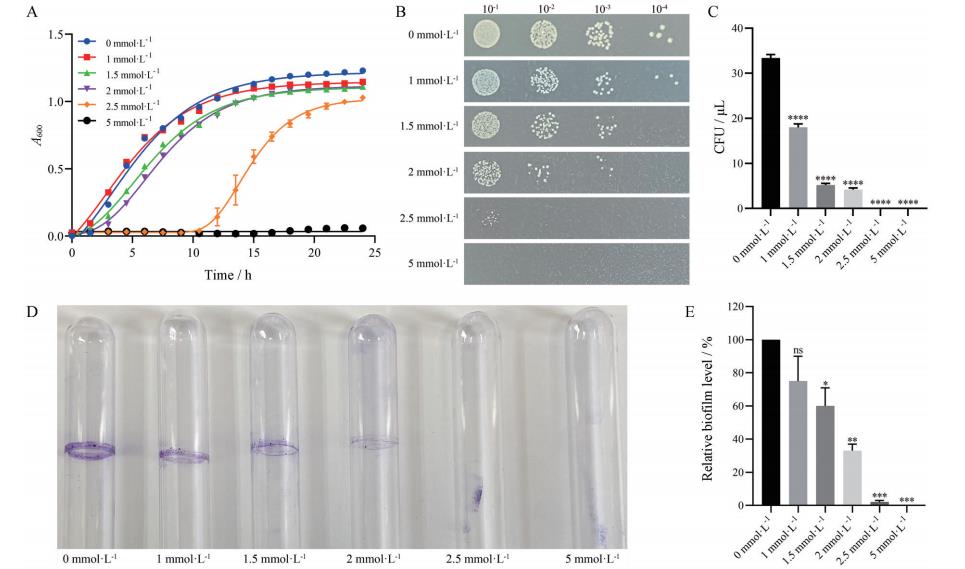 不同溫度、pH值及H?O?作用下減毒沙門氏菌生長(zhǎng)曲線及細(xì)菌生物膜的形成——結(jié)果