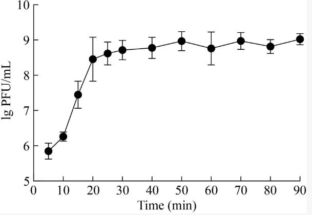 耐萬(wàn)古霉素糞腸球菌噬菌體一步生長(zhǎng)曲線、溫度和pH穩(wěn)定性分析（二）