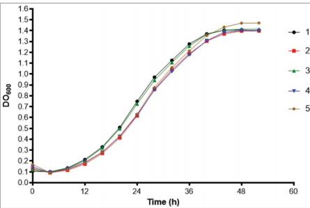 巴西孢子絲菌體內(nèi)毒力、生長(zhǎng)曲線、對(duì)氧化劑敏感性及抗真菌藥敏試驗(yàn)（三）