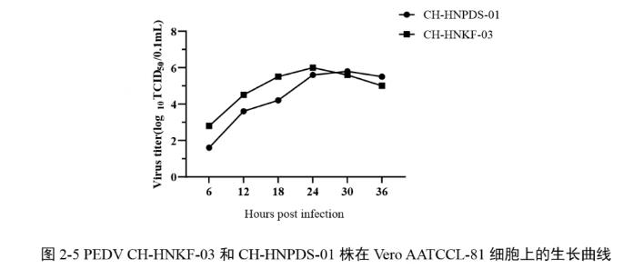 ?河南省豬流行性腹瀉病毒（PEDV）流行毒株的遺傳變異、生長(zhǎng)特性及滅活疫苗研制研究（一）