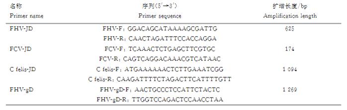 貓皰疹病毒Ⅰ型毒株HRB2019分離培養(yǎng)、增殖與鑒定方法（一）