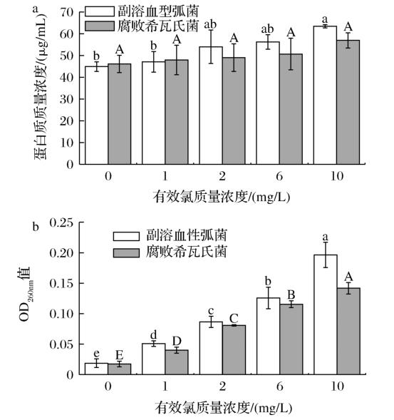 低濃度微酸性電解水對純培養(yǎng)及海蝦表面接種菌的殺菌效果以及作用機制（三）