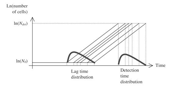 不同環(huán)境條件下單細胞李斯特無害菌孔洞產(chǎn)生濁度的時間分布（一）